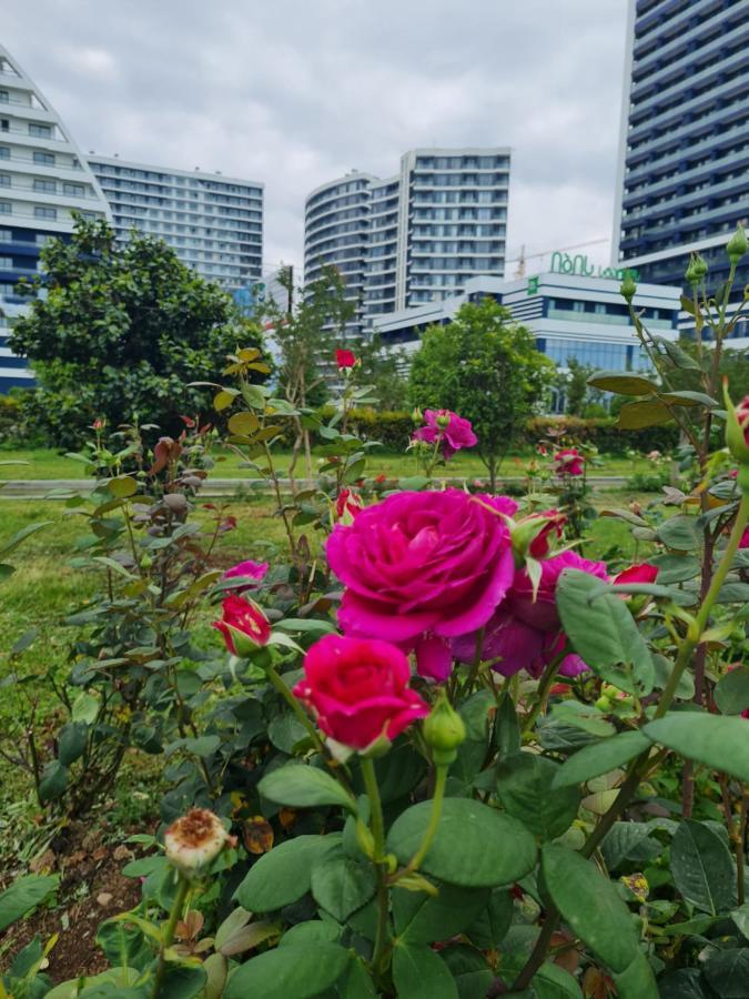 バトゥーミApartament White Sailsアパートメント エクステリア 写真